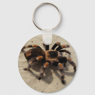 Porte-clés Tarantula brachypelma red knee poisonous