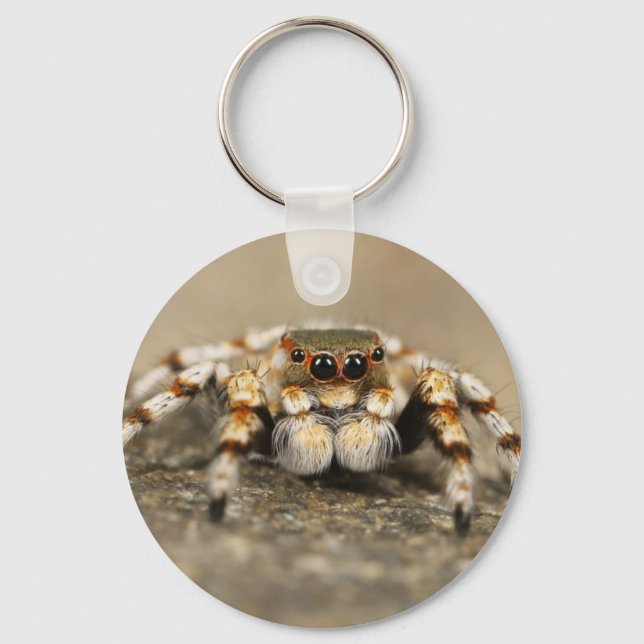 Porte-clés Tarantula Jumping Bird Spider awesome accessories (Recto)