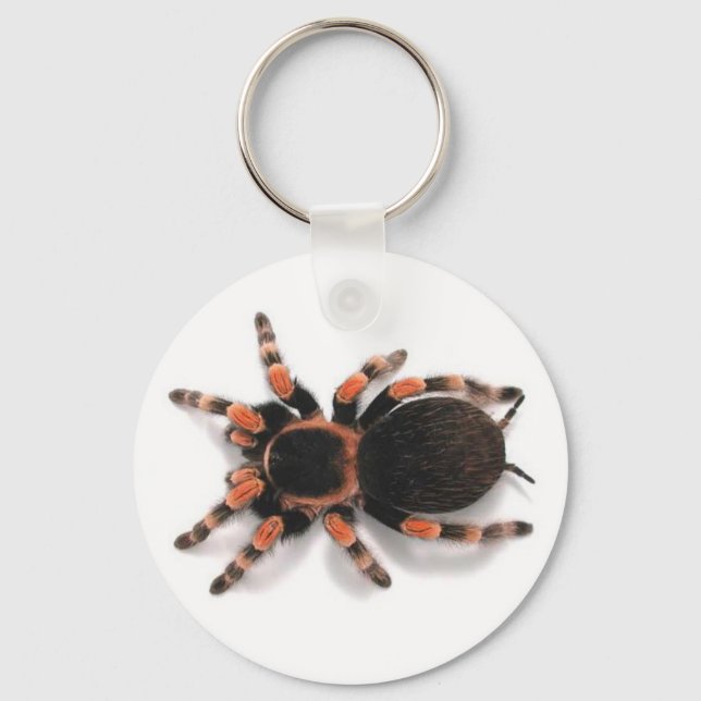 PORTE-CLÉS TARANTULA SPIDER KEYCHAIN KEYRING (Recto)