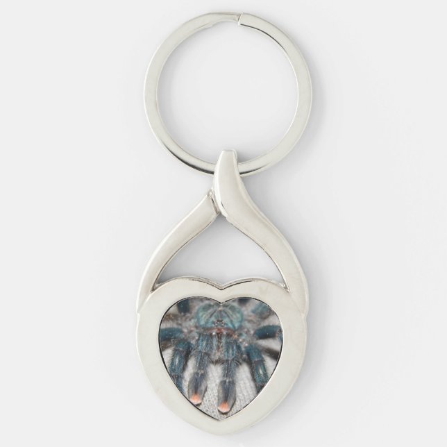 Porte-clés tarantule bleue (Devant)