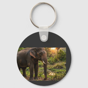 Porte-clés Tasse éléphant du parc national de Yala - Faune de