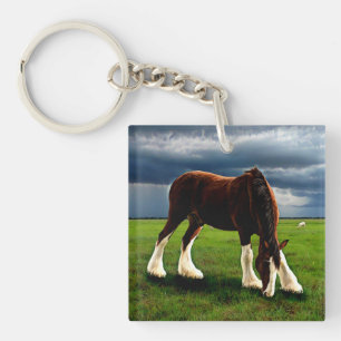 Porte-clés Tempête de Clydesdale