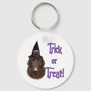 Porte-clés Terre-Neuve (brun) Trick