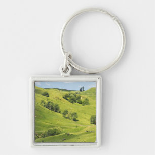 Porte-clés Terres agricoles près de Gisborne, Nouvelle-Zéland