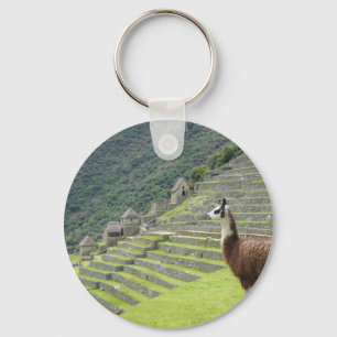 Porte-clés terres du llama