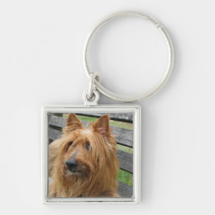 Porte-clés terrier australien sur banc.png