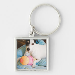 Porte-clés Terrier de Jack Russell se couchant