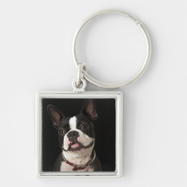 Porte-clés Terrier de sourire de Boston avec le collier (Devant)