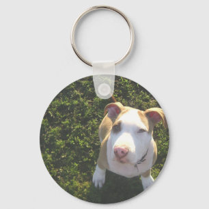 Porte-clés terrier pitbull américain qui regarde vers le haut