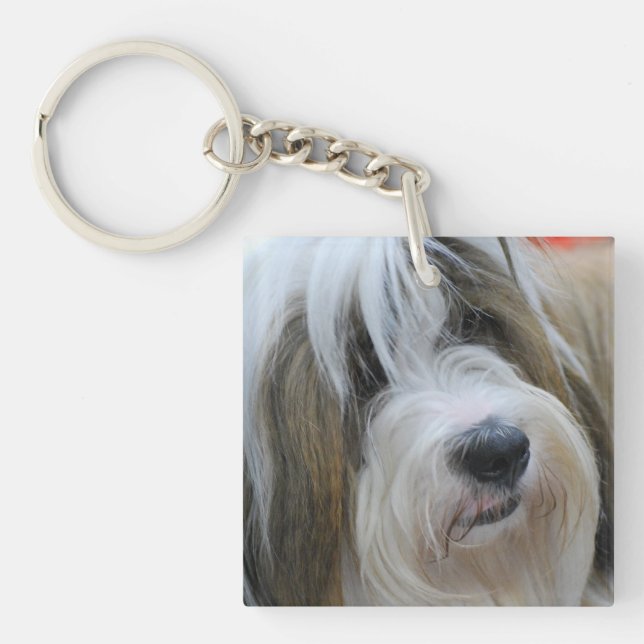 Porte-clés Terrier tibétain (Devant)