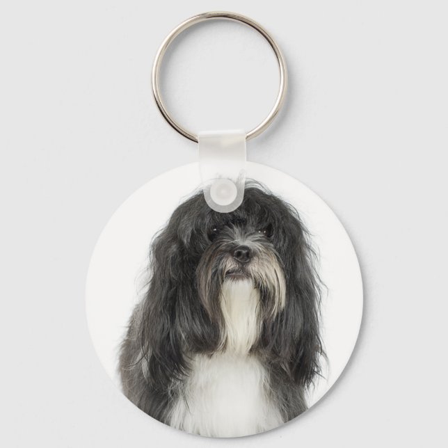 Porte-clés Terrier tibétain (Recto)