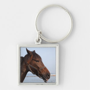 Porte-clés Tête de cheval Brown