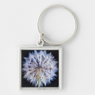 Porte-clés Tête de graine de Pissenlit (Taraxacum Officinale)