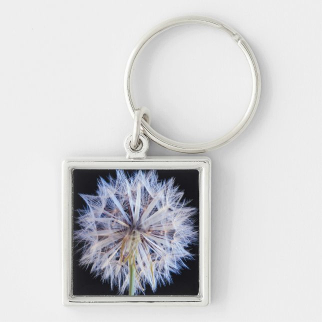 Porte-clés Tête de semence Dandelion (Taraxacum Officinale) (Devant)