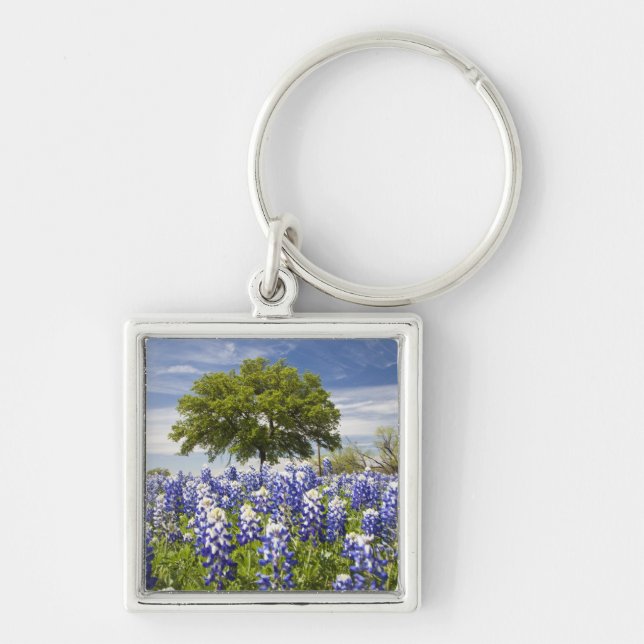 Porte-clés Texas bluebonnets (lupinus texensis) et chêne (Devant)