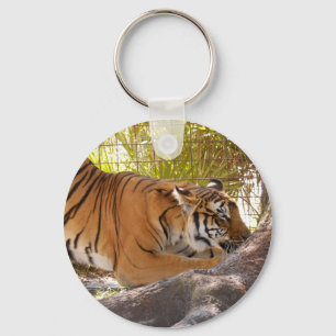 Porte-clés Tiger Bengali 001