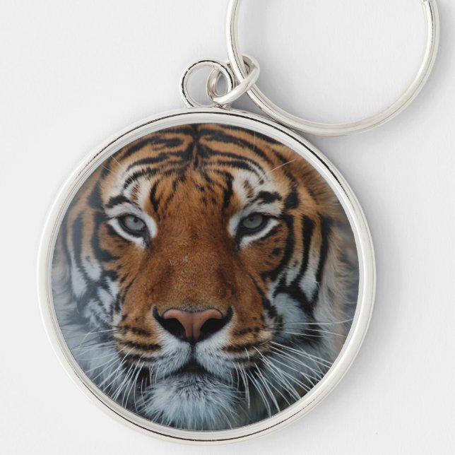 Porte-clés Tiger Chat Stripes Jungle Mist Animal (Devant)
