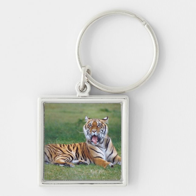 Porte-clés Tigre de baîllement (Devant)