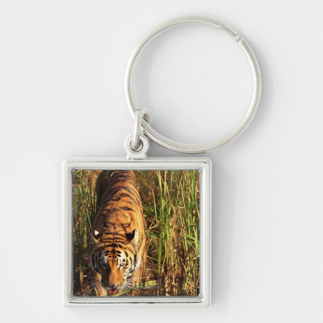 Porte-clés Tigre de Bengale dans les marécages (Devant)
