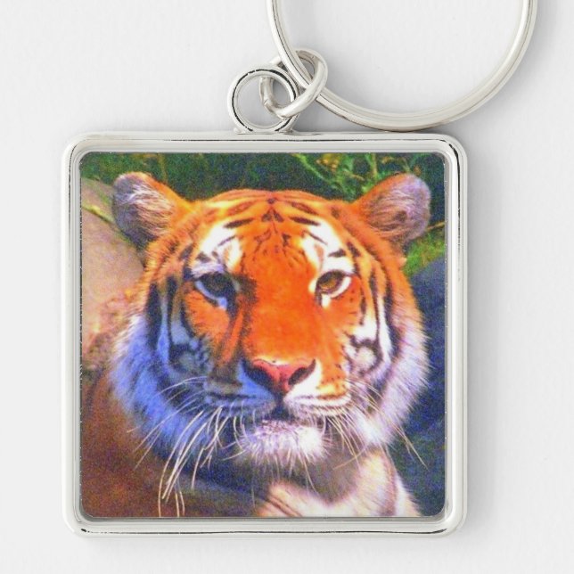 Porte-clés Tigre de Sibérie (Devant)