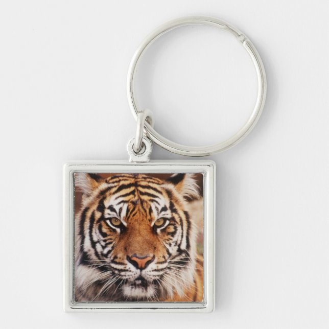 Porte-clés Tigre de Sumatra (Devant)