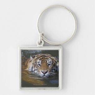 Porte-clés Tigre de Sumatran, sumatrae du Tigre de Panthera