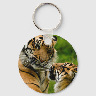 Porte-clés Tigre de tigre