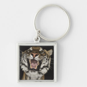 Porte-clés Tigre hurlant 2