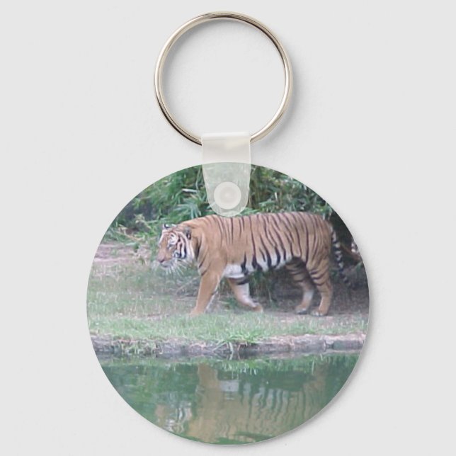 Porte-clés Tigre indochinois (Recto)