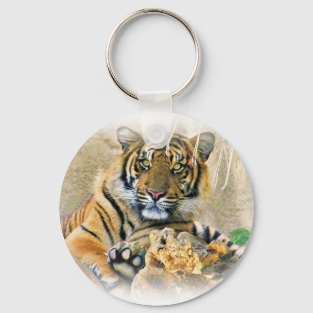 Porte-clés Tigre, Recherche_ (Recto)