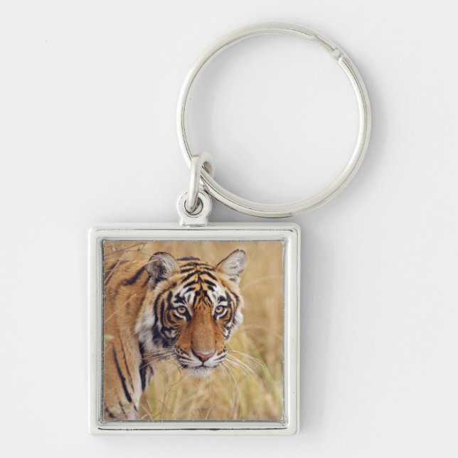 Porte-clés Tigre royal du Bengale (Devant)
