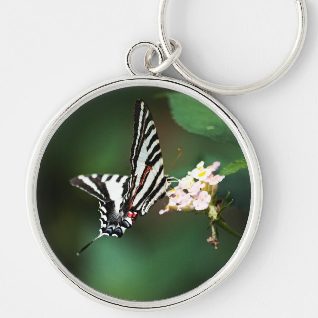 Porte-clés Tiny Zebra Porte - clé (Devant)