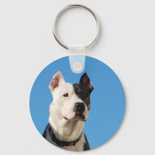 Porte-clés Tonka, le pitbull, porte - clé