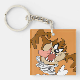 Porte-clés Tornade à bulles TAZ™
