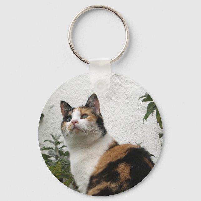 Porte-clés Tortoiseshell et Chat blanc (Recto)