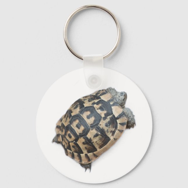 Porte-clés Tortue (Recto)