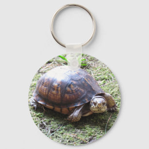 Porte-clés Tortue - Chemin Mossy