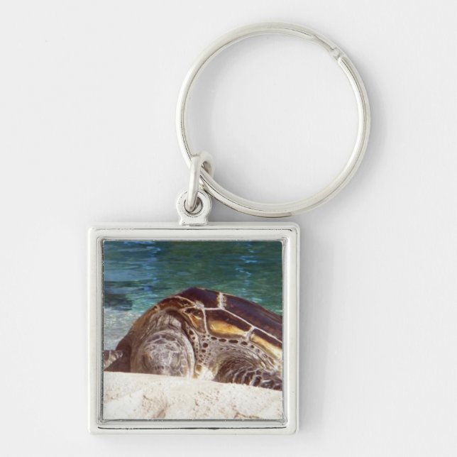 Porte-clés Tortue de mer au repos (Devant)