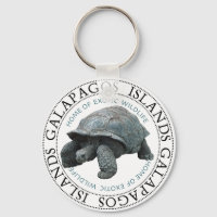 Tortue des îles Galapagos