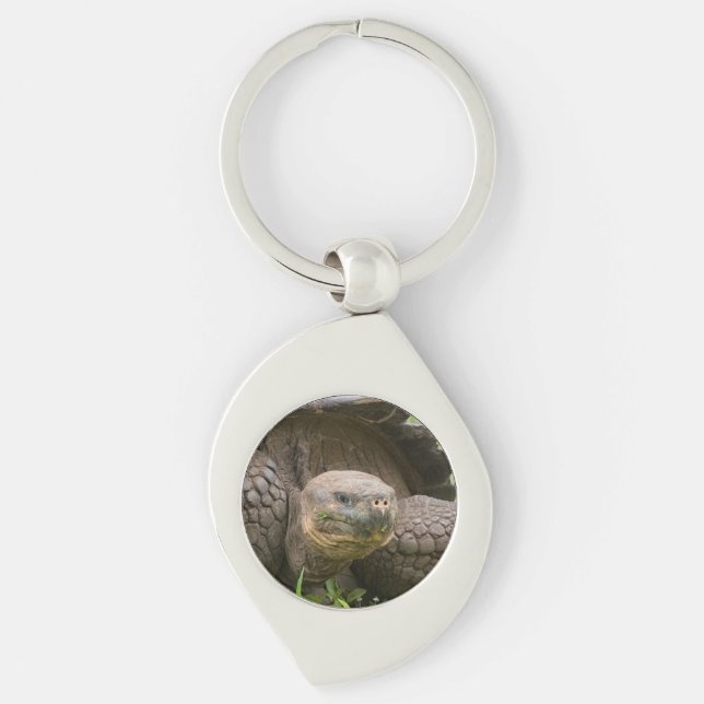 Porte-clés Tortue géante (Devant)
