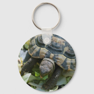 Porte-clés Tortue mignonne