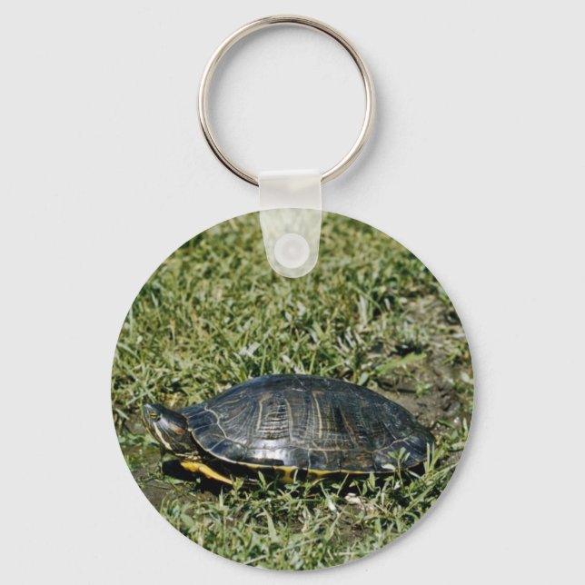 Porte-clés Tortue peinte (Recto)