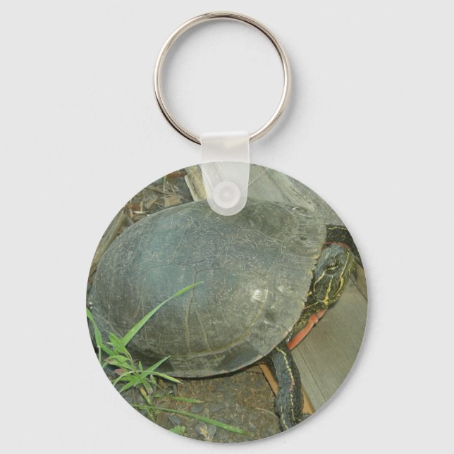 Porte-clés Tortue peinte (Chrysemys picta) (Recto)
