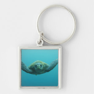 Porte-clés Tortue verte (Chelonia mydas agassisi), Centre