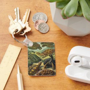 Porte-clés Tortues anciennes et tortues de mer par Ernst Haec