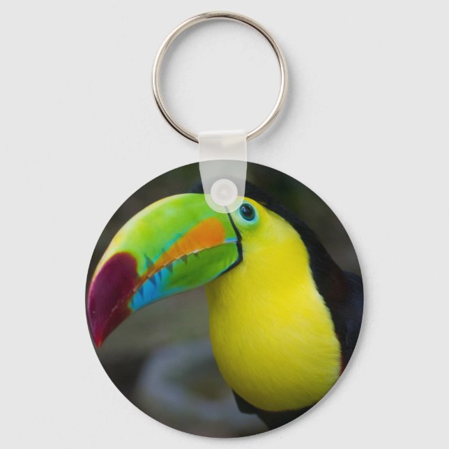 Porte-clés Toucan (Recto)