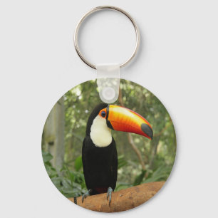 Porte-clés Toucan sur branche d'arbre