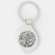 Tourbillon de coquillages du rivage