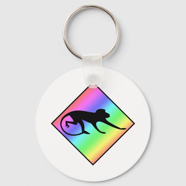 Porte-clés Traversée du singe arc-en-ciel (Recto)