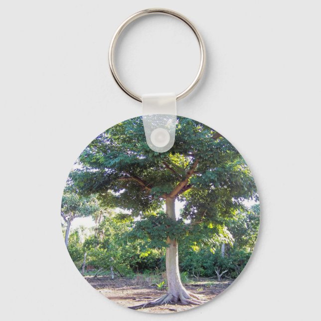 Porte-clés Tree of Wisdom-keychain (Recto)